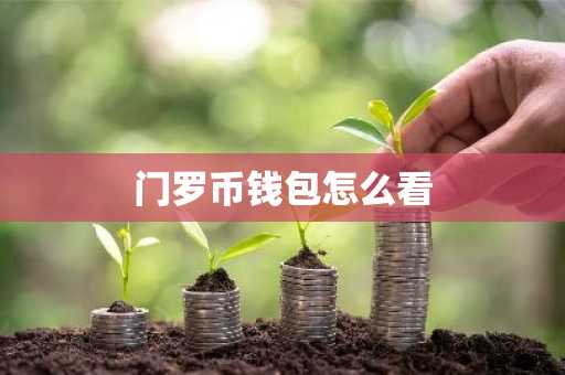 门罗币钱包怎么看