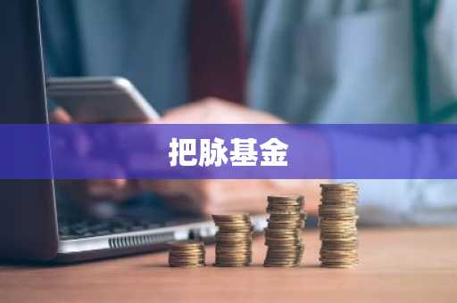 把脉基金