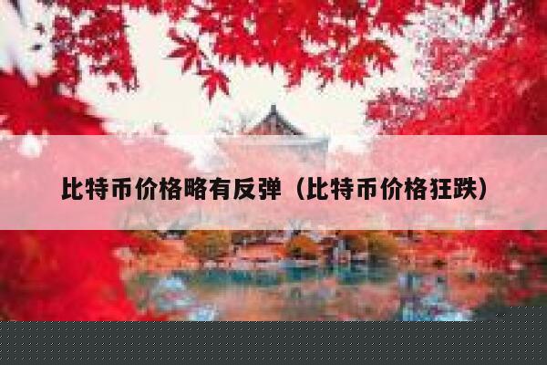 比特币价格略有反弹（比特币价格狂跌）