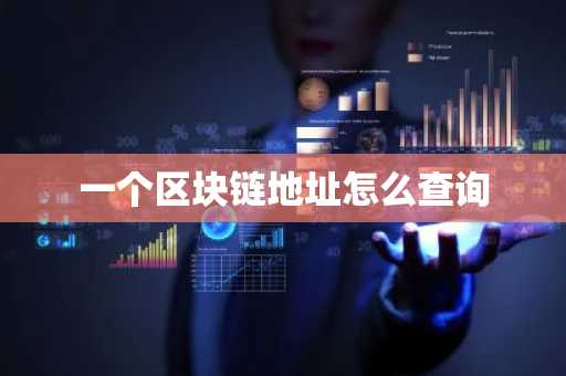 一个区块链地址怎么查询
