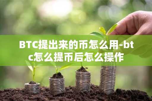 BTC提出来的币怎么用-btc怎么提币后怎么操作