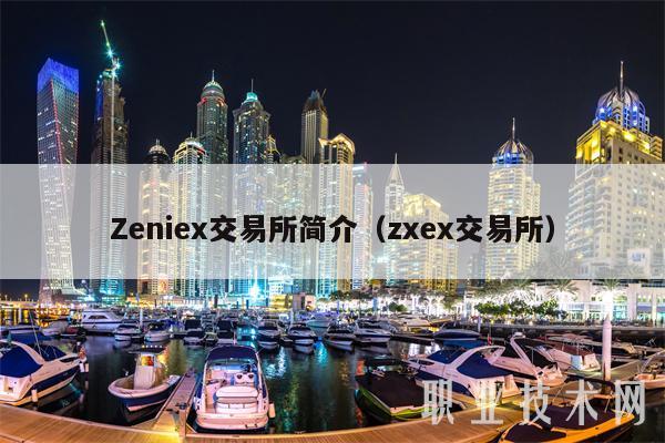 Zni交易所简介（z交易所）