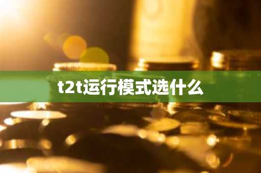 t2t运行模式选什么