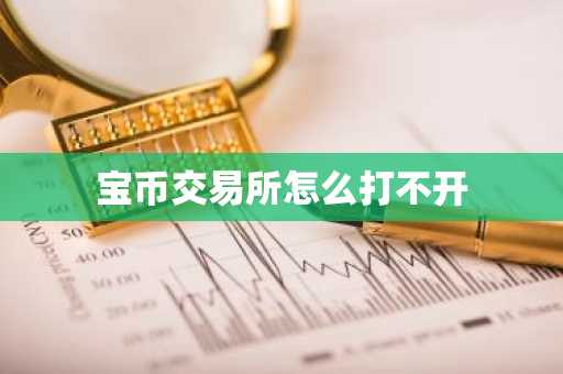 宝币交易所怎么打不开