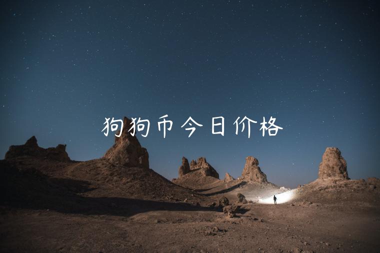 狗狗币今日价格