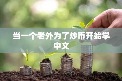 当一个老外为了炒币开始学中文