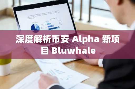 深度解析币安 Alpha 新项目 Bluwhale