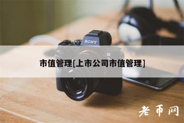 市值管理[上市公司市值管理]