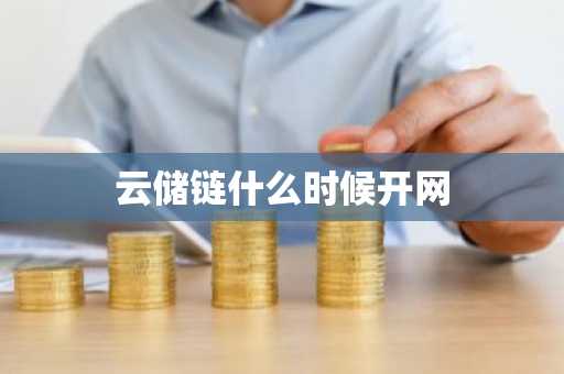 云储链什么时候开网