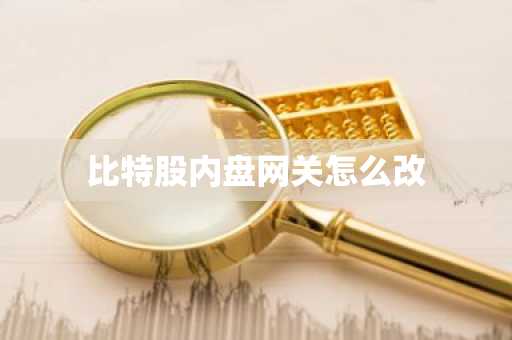 比特股内盘网关怎么改