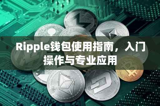 Ripple钱包使用指南，入门操作与专业应用