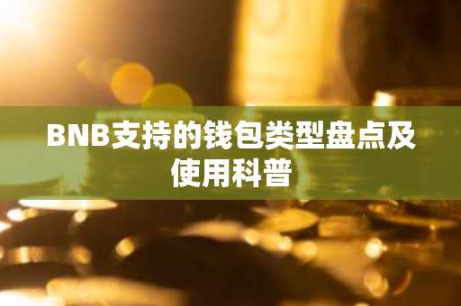 BNB支持的钱包类型盘点及使用科普