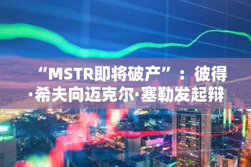 “MSTR即将破产”：彼得·希夫向迈克尔·塞勒发起辩论挑战