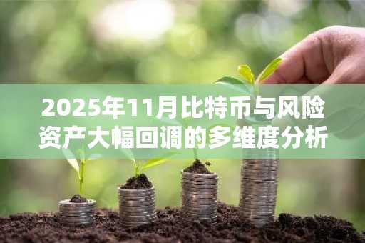 2025年11月比特币与风险资产大幅回调的多维度分析