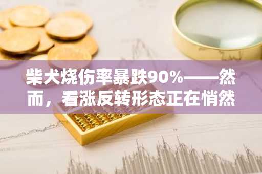 柴犬烧伤率暴跌90%——然而，看涨反转形态正在悄然形成。以下是柴犬可能很快带来惊喜的原因