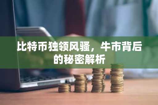 比特币独领风骚，牛市背后的秘密解析