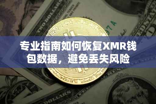 专业指南如何恢复XMR钱包数据，避免丢失风险