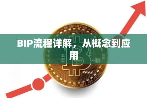 BIP流程详解，从概念到应用