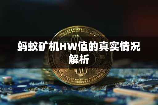 蚂蚁矿机HW值的真实情况解析