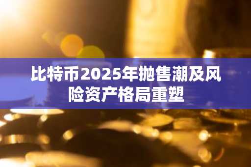 比特币2025年抛售潮及风险资产格局重塑