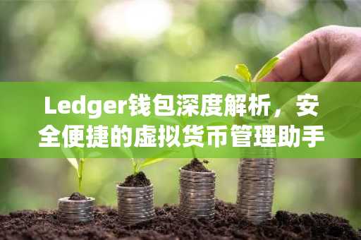 Ledger钱包深度解析，安全便捷的虚拟货币管理助手