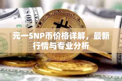 元一SNP币价格详解，最新行情与专业分析