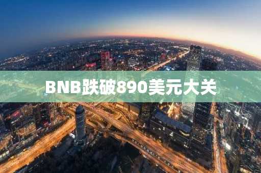 BNB跌破890美元大关