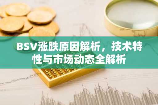 BSV涨跌原因解析，技术特性与市场动态全解析