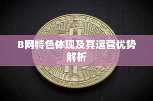 B网特色体现及其运营优势解析