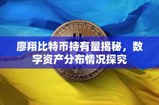 廖翔比特币持有量揭秘，数字资产分布情况探究