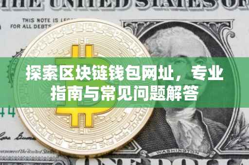 探索区块链钱包网址，专业指南与常见问题解答