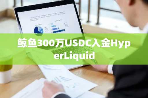 鲸鱼300万USDC入金HyperLiquid