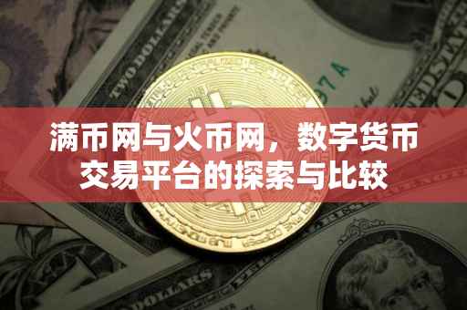 满币网与火币网，数字货币交易平台的探索与比较