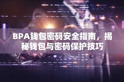 BPA钱包密码安全指南，揭秘钱包与密码保护技巧
