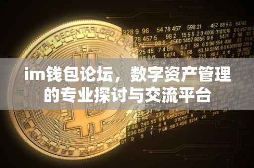 im钱包论坛，数字资产管理的专业探讨与交流平台
