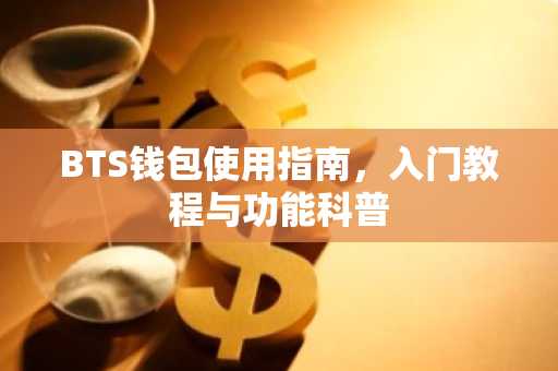 BTS钱包使用指南，入门教程与功能科普