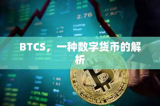 BTCS，一种数字货币的解析