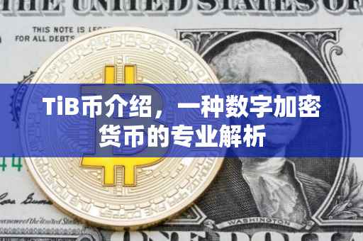 TiB币介绍，一种数字加密货币的专业解析