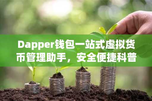 Dapper钱包一站式虚拟货币管理助手，安全便捷科普指南