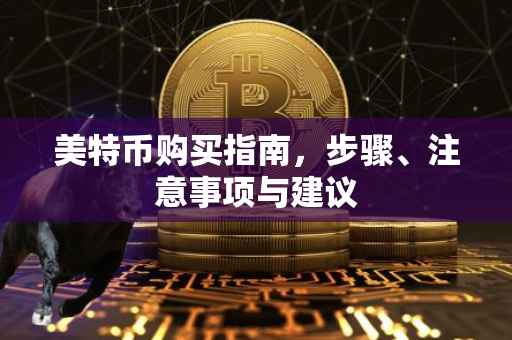 美特币购买指南，步骤、注意事项与建议
