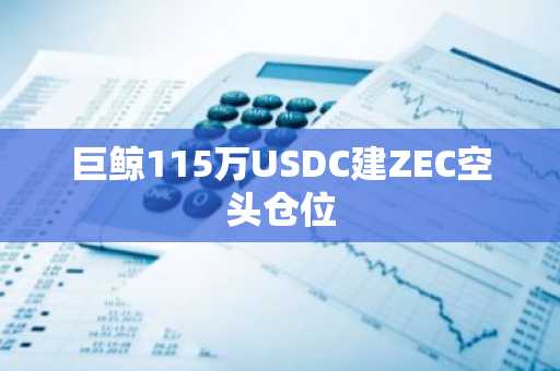 巨鲸115万USDC建ZEC空头仓位
