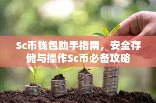 Sc币钱包助手指南，安全存储与操作Sc币必备攻略