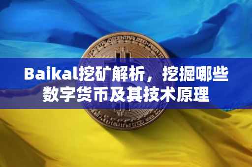Baikal挖矿解析，挖掘哪些数字货币及其技术原理