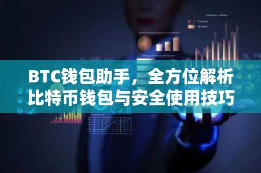 BTC钱包助手，全方位解析比特币钱包与安全使用技巧