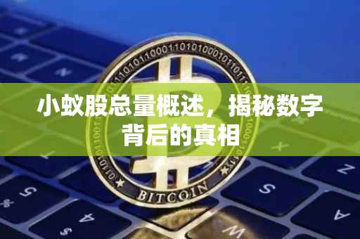 小蚁股总量概述，揭秘数字背后的真相