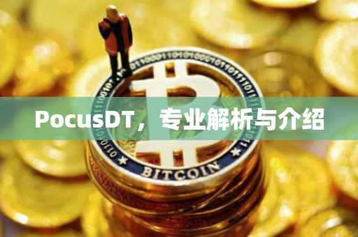 PocusDT，专业解析与介绍