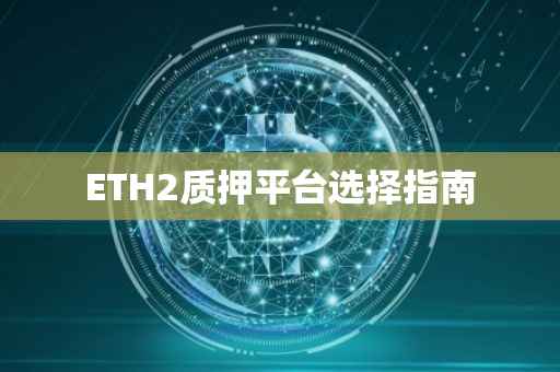 ETH2质押平台选择指南
