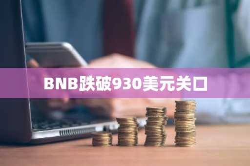 BNB跌破930美元关口