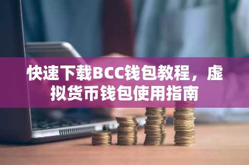 快速下载BCC钱包教程，虚拟货币钱包使用指南
