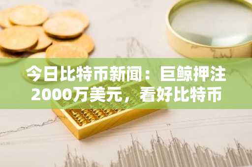 今日比特币新闻：巨鲸押注2000万美元，看好比特币近期反弹